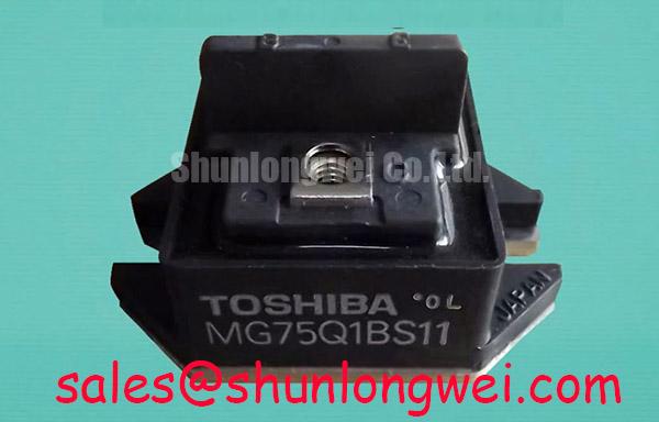 Toshiba   MG75Q1BS11  New Stock