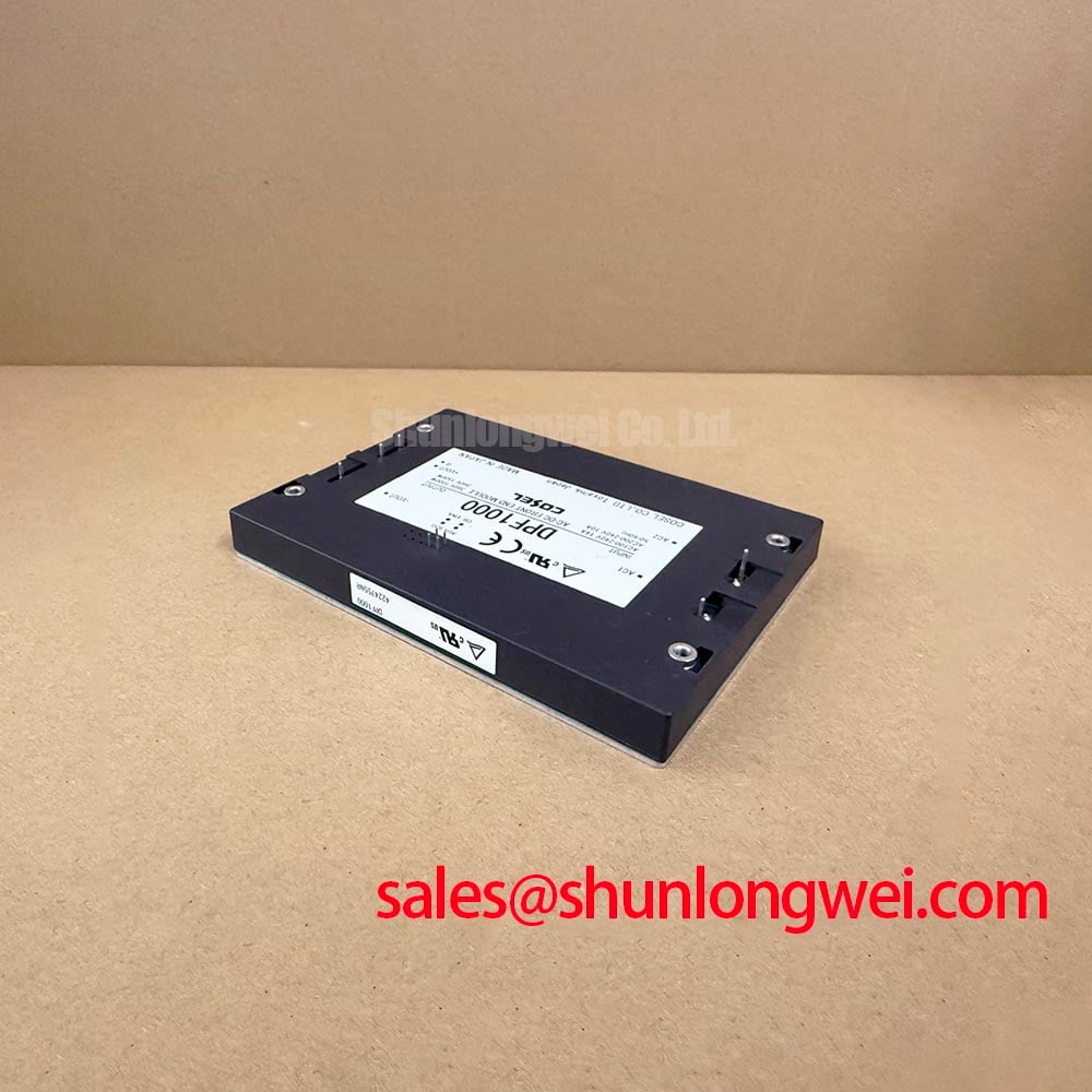 High Quality DPF1000