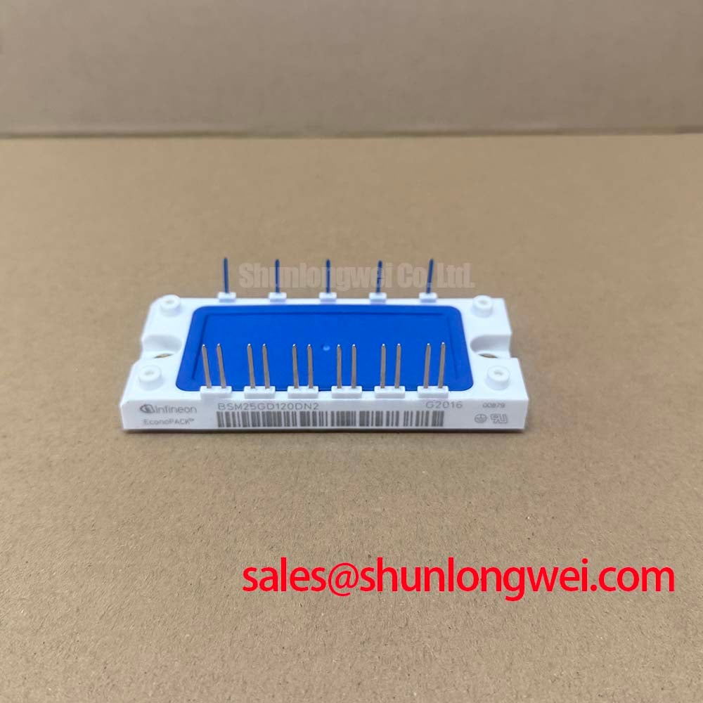 BSM25GD120DN2
