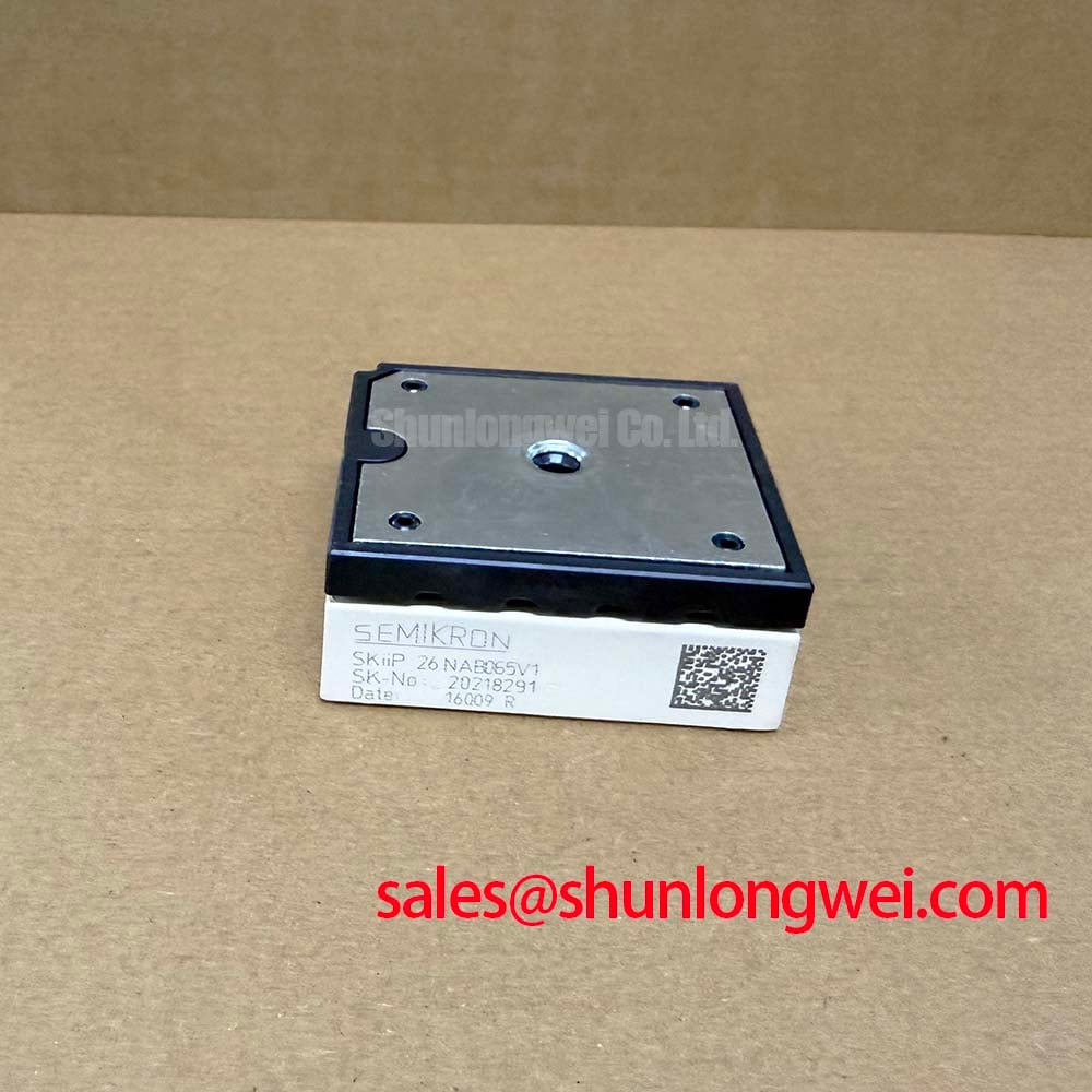 SKIIP 26NAB065V1