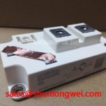 Semikron SKM600GA124D IGBT