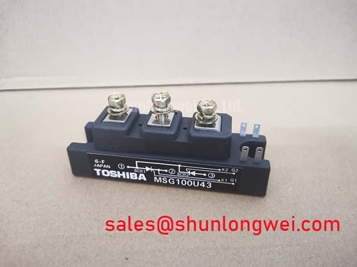 MSG100U43 Video Cover