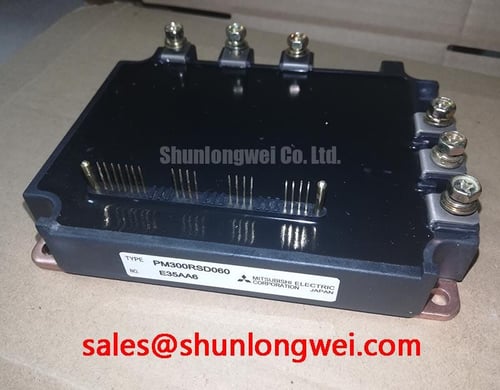 PM300RSD060 Video Cover