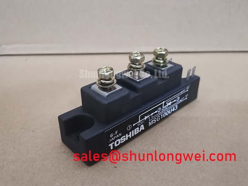 Buy MSG100U43 Online