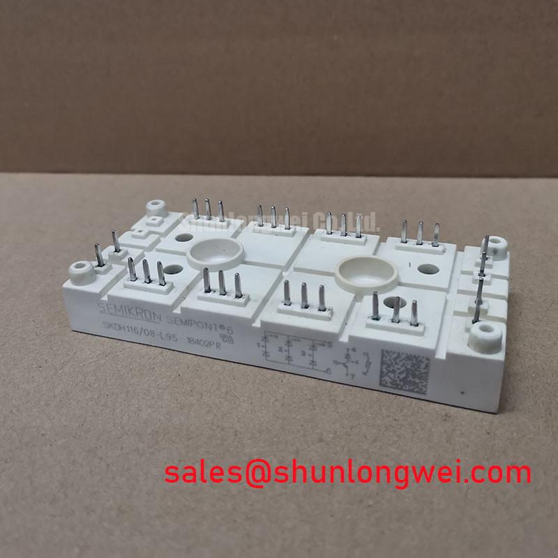 SKDH116/08-L95
