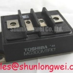 MG300M1FK1