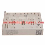 SKIIP39AC065V1