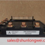 PM100RSA060
