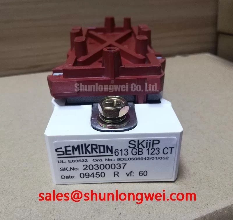 SKIIP 613 GB 123 CT