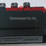 PM300CLA060