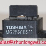 MG25Q1BS11 Image