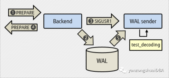 Logical decoding text of two-phase commit in PostgreSQL 14