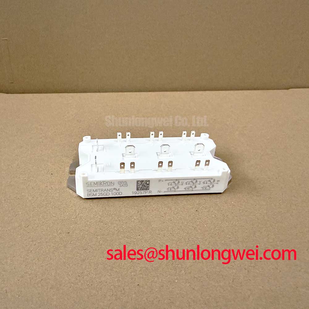 BSM25GD100D