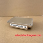Fuji Electric 2MBI450VE-120-50 IGBT