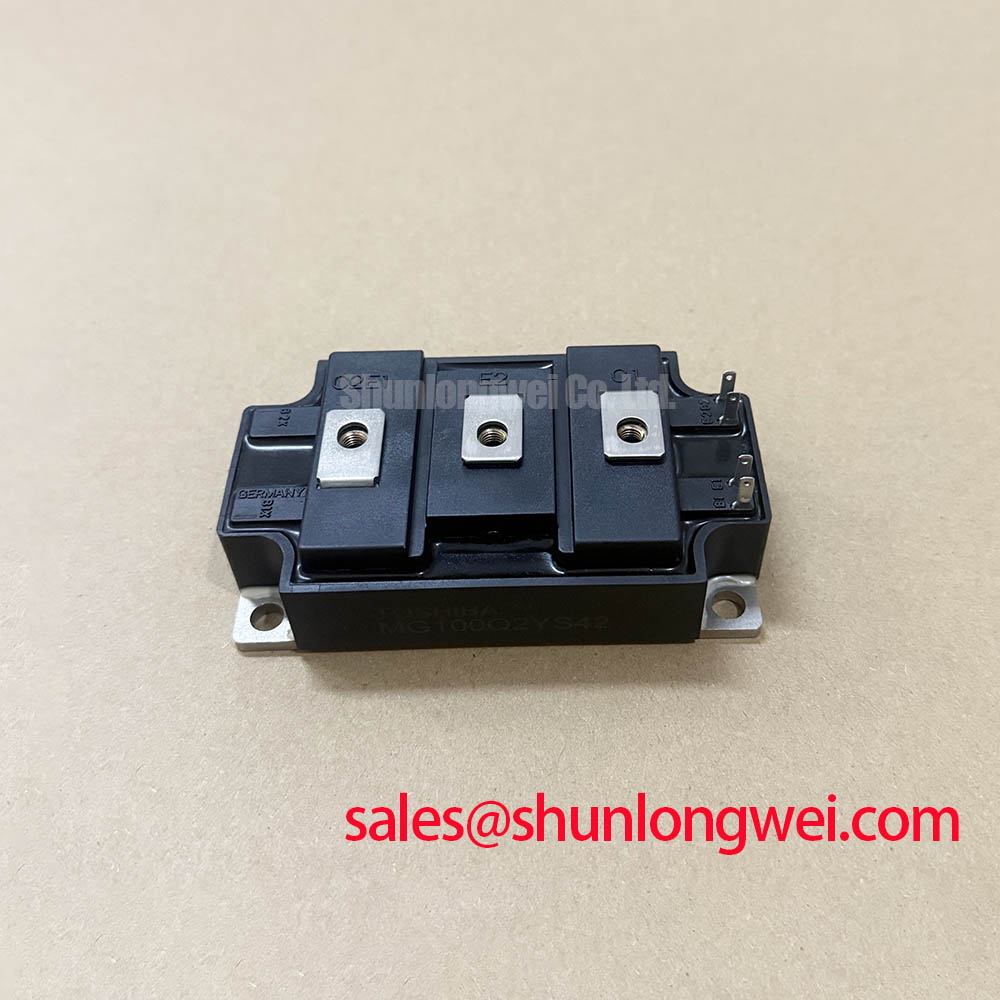 MG100Q2YS42
