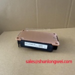 Mitsubishi PM200DV1A120