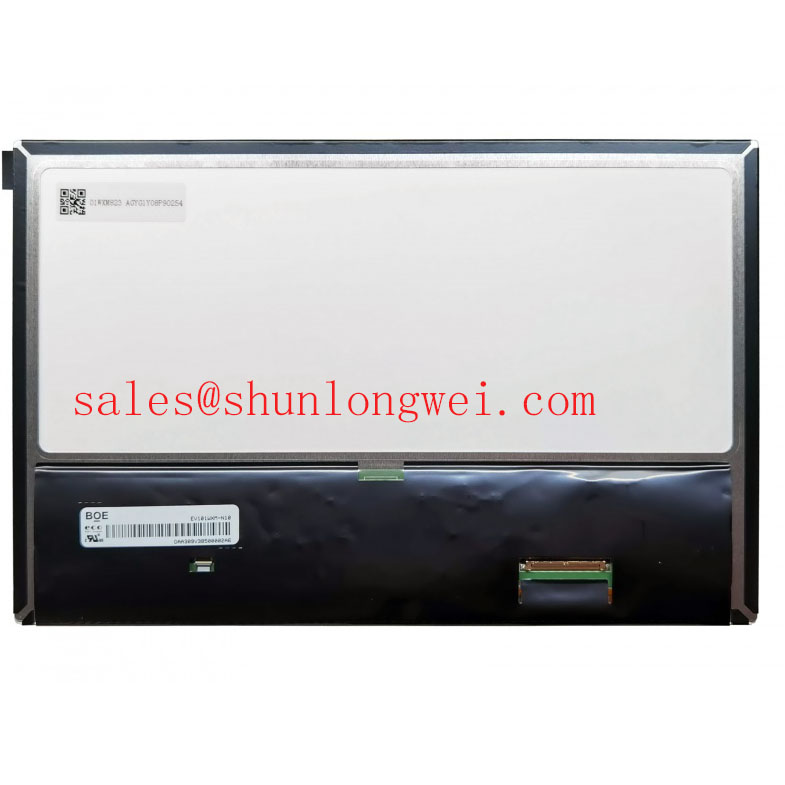EV101WXM-N10