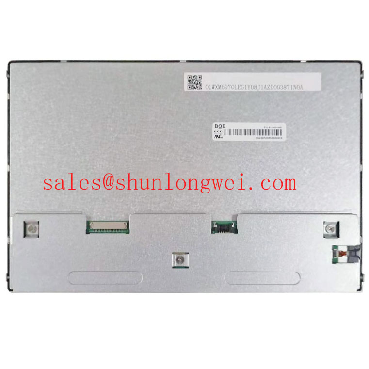 EV101WXM-N81