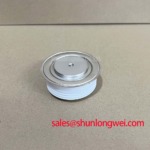 DS1112SG Fast Shipping
