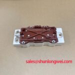 SKiiP603GB172CT