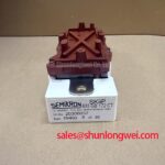 SKiiP603GB172CT