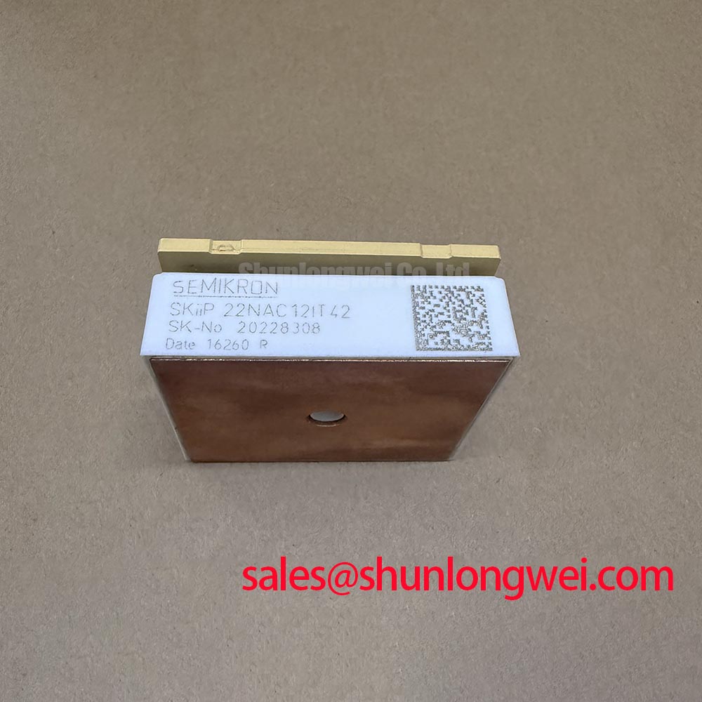 SKIIP 22NAC12IT42