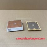 SKiiP 22NAB12T45