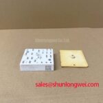 SKiiP 22NAB12T45
