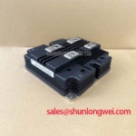 Real Photo of RM600DG-130S