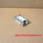 6RI125P-160-51 Image