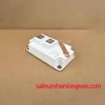 SKM300GA12T4 Image